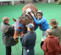 at the races