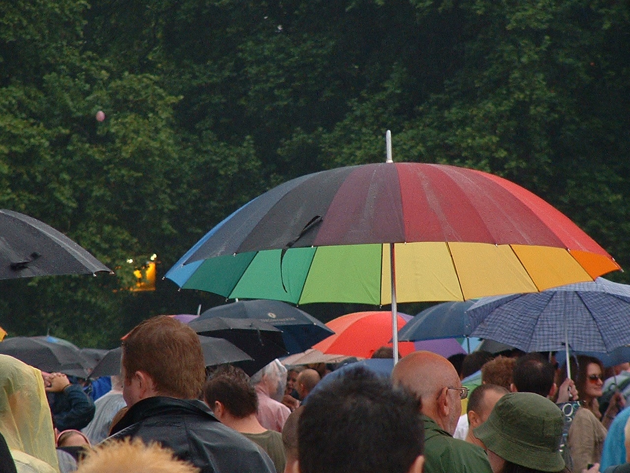 Prode, in the Hyde Park rain, 2003