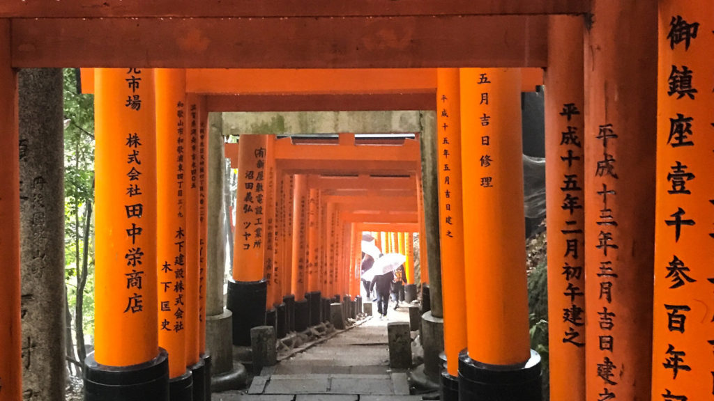 Photo of Day 8: Fushimi Inari Taisha