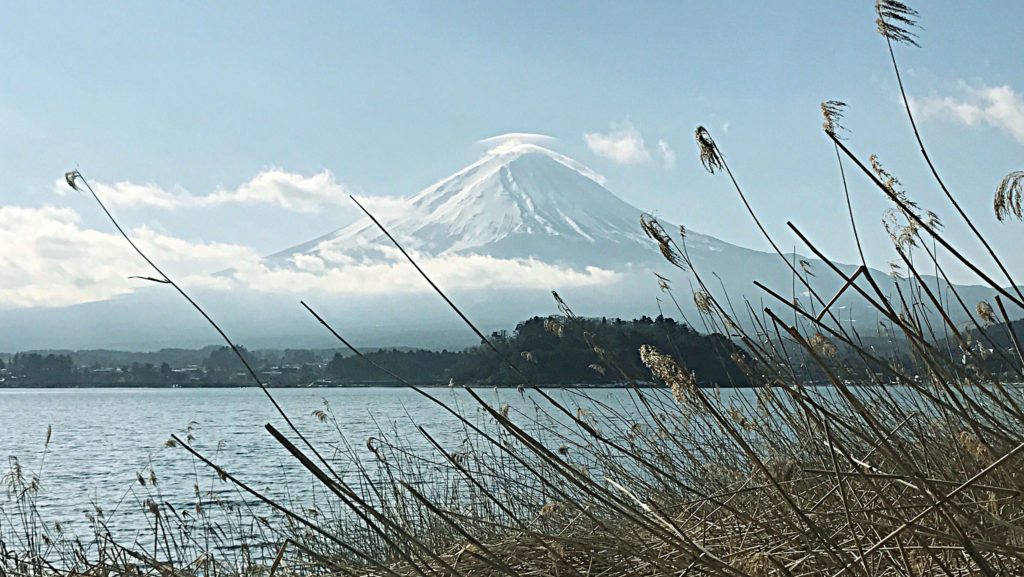 Photo of Day 4: UNESCO World Heritage Site, Mt Fuji