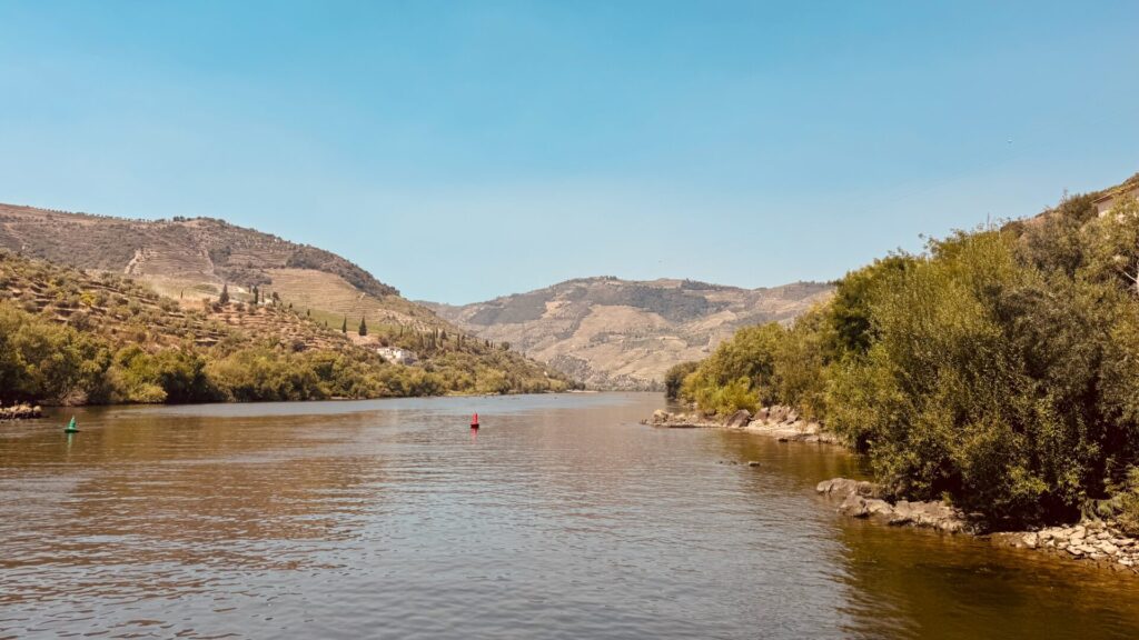 A wide view of the Douro River winding between terraced vineyard-covered hillsides, with a red and a green navigation buoy marking the channel and dense green riverbank vegetation in the foreground