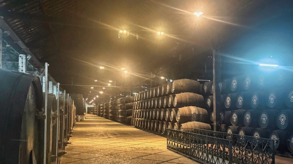 A long, atmospheric cellar aisle at Cockburn's port lodge, lined with rows of aged oak barrels stamped with the Cockburn's crest, softly lit by overhead lamps down the length of the vaulted warehouse.