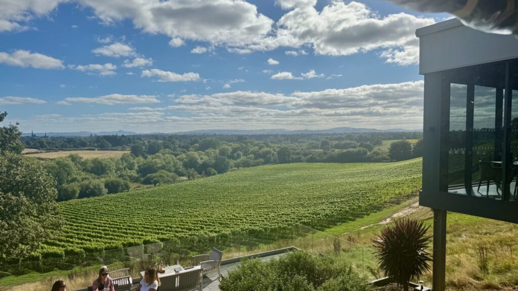 Rows of vines cascading down a hillside at Hencote Vineyard near Shrewsbury, seen from the winery's terrace, with guests seated at a table in the foreground and Shrewsbury's church spires and the distant Shropshire hills visible on the horizon under a partly cloudy sky.