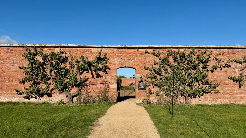 Attingham Park, Shrewsbury. A red-brick garden wall with a central arched doorway, framed by two fan-trained fruit trees growing against the brickwork, with a gravel path leading across the lawn through the arch to more of the garden beyond, under a clear blue sky.